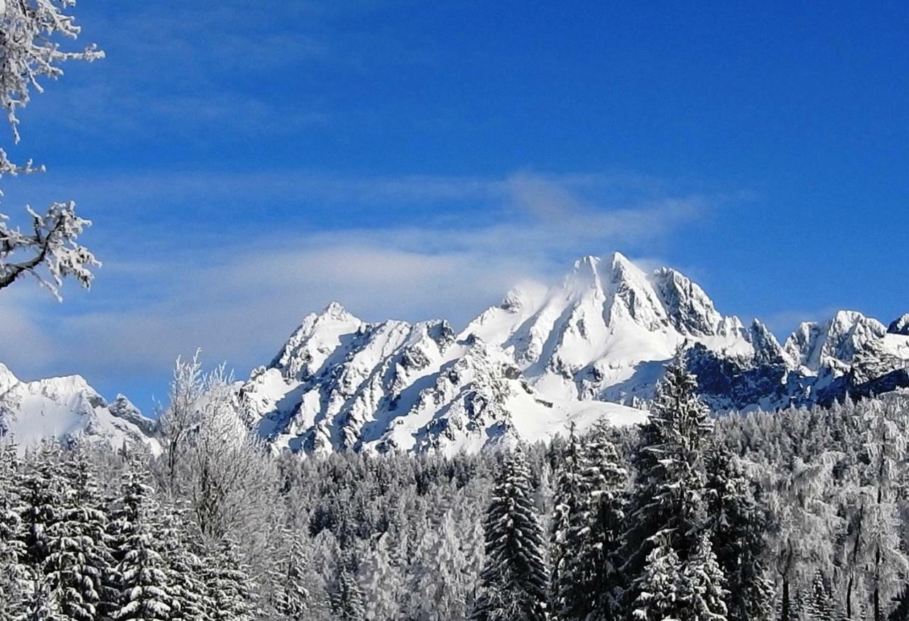 Strbske Pleso Rezidencia Oliver - Apartman 16A ภายนอก รูปภาพ